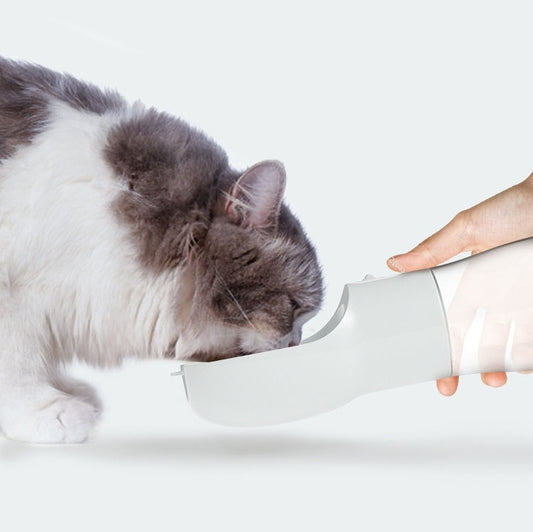 PawSip Portable Bottle