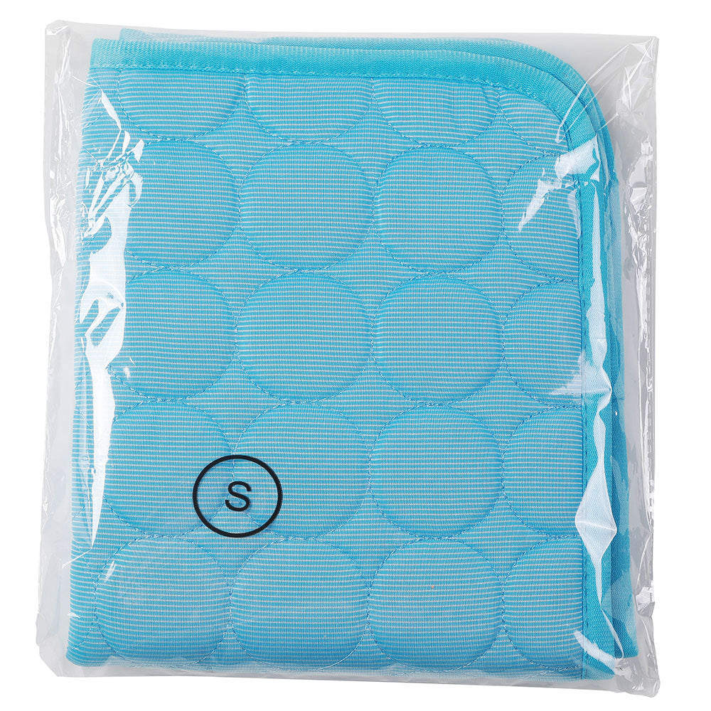 CoolPaws Mat