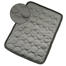 CoolPaws Mat